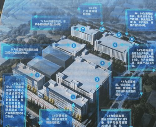 市长点评生物化工重点项目 以比学赶超助推产业升级