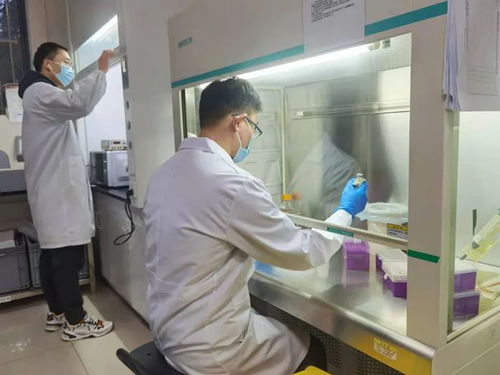 以技术创新践行社会责任——相城生物医药企业战疫显担当