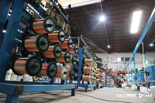 背靠东莞制造，虎门生物化工产品技术研发如何跑向全国